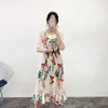 Pleated 2019 New French Style Printed Women Pleated Dress