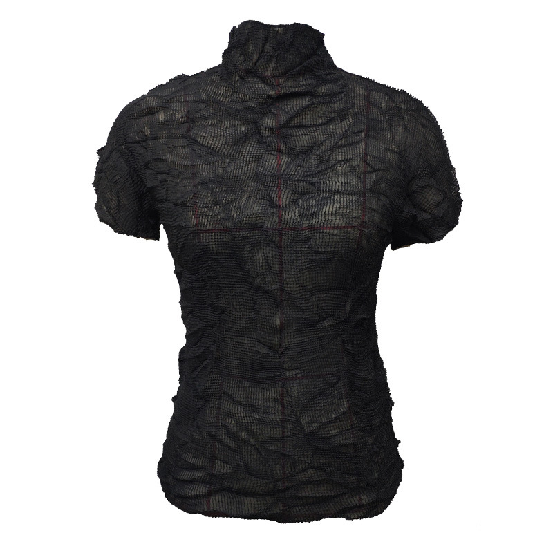 Women's 2020 Summer Pleated Black Sexy Perspective T-shirt Top Women's Short Sleeve Shirts