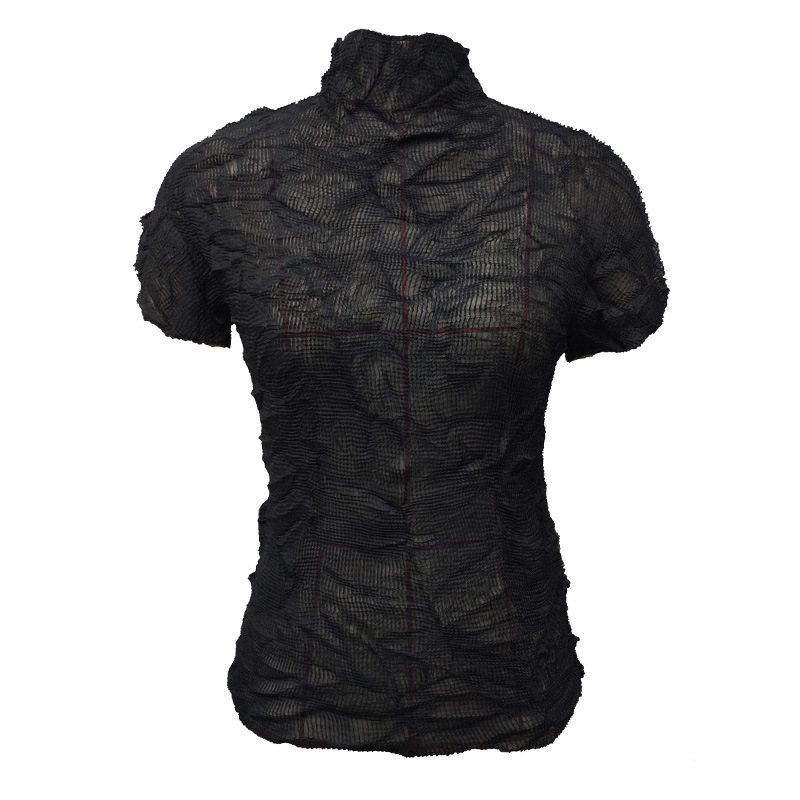 Women's 2020 Summer Pleated Black Sexy Perspective T-shirt Top Women's Short Sleeve Shirts