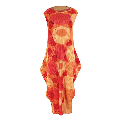 Women's 2021 New Summer Dress Korean Version Printed Lantern Long Dress
