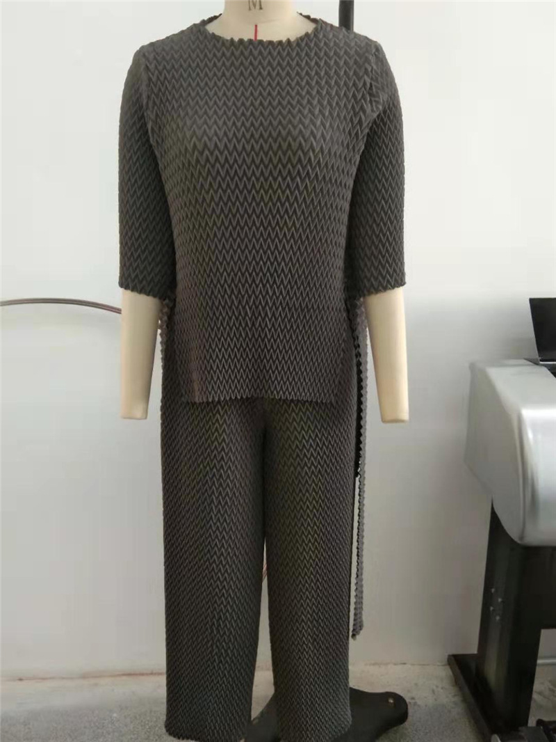 Women Spring 2020 New Pleated Suit Women's Top Pants Two Pieces Clothing Set